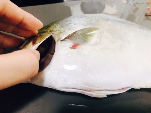 柠檬盐烤金鲳鱼