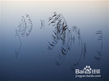 你不满意的,其实是你自己