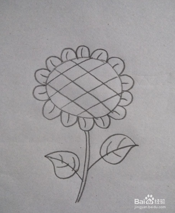 向日葵简笔画教学
