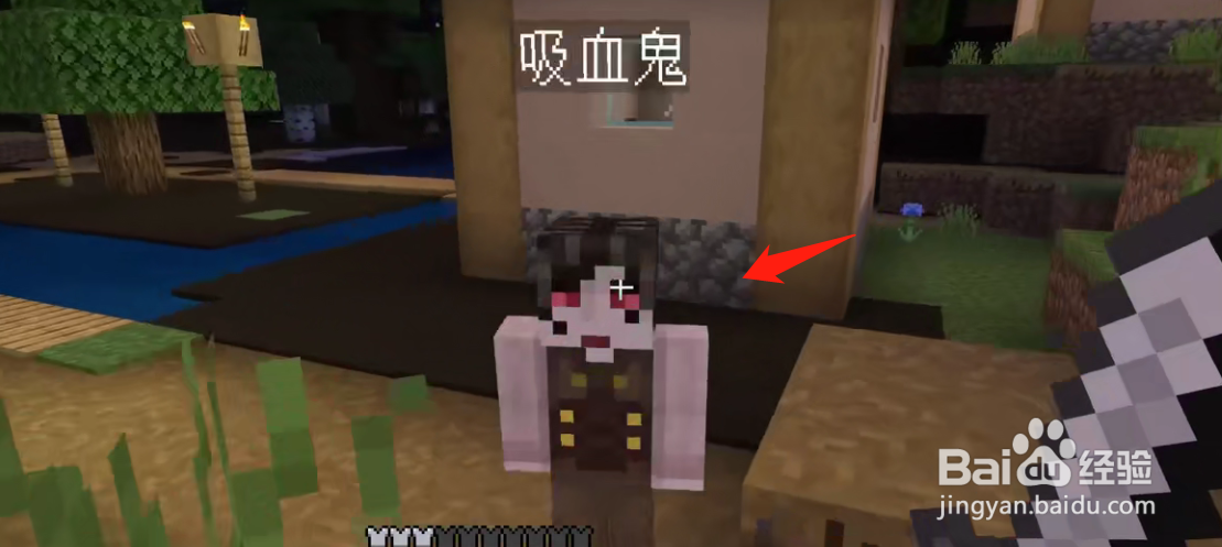 我的世界吸血鬼在哪