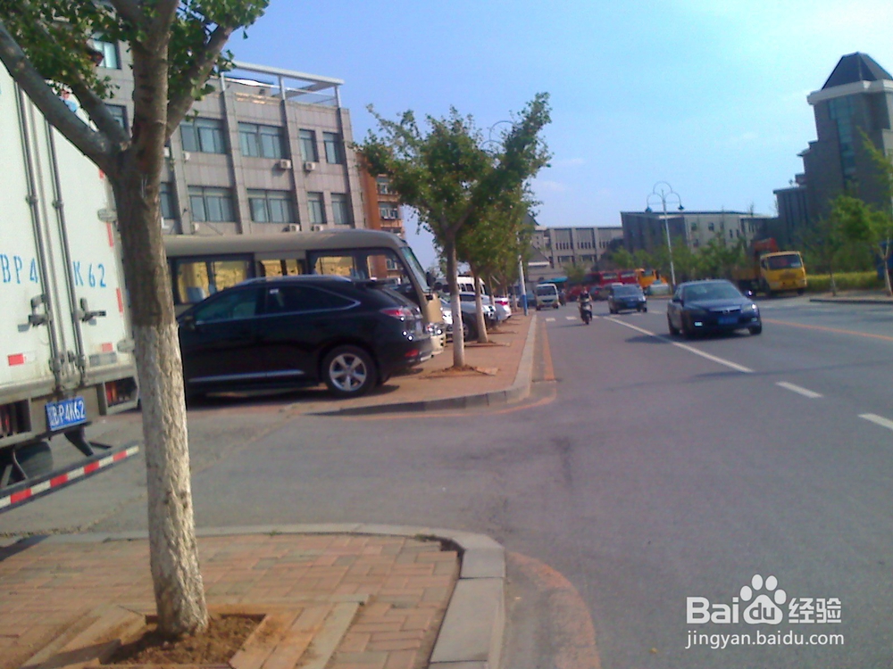 怎样告诉孩子安全过马路--25