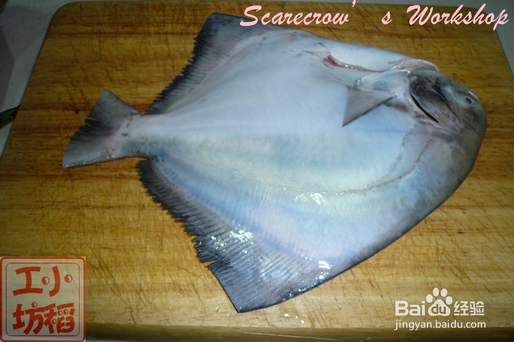 【天凉吃火锅】斗鲳鱼火锅