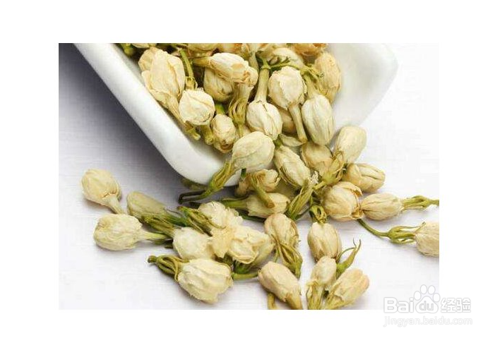 养护茉莉花需要注意哪些方面