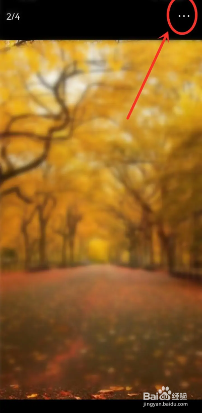 如何使用今日头条极速版APP保存动态图片？