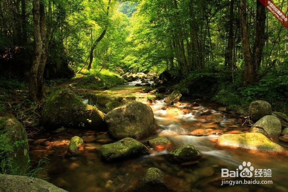 如何摆脱失眠,快速入睡——亲身体验效果好