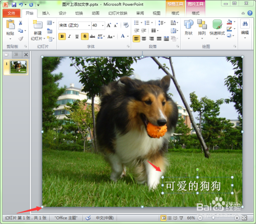 如何在幻灯片的图片中添加文字