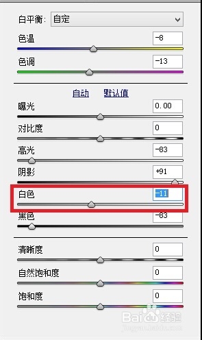 使用 Camera Raw 提高照片质量