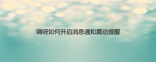 嗨呀如何开启消息通知震动提醒