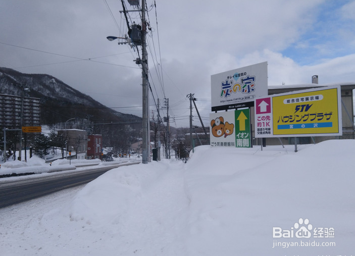 一条性价比爆棚的万元以下日本北海道观雪路线