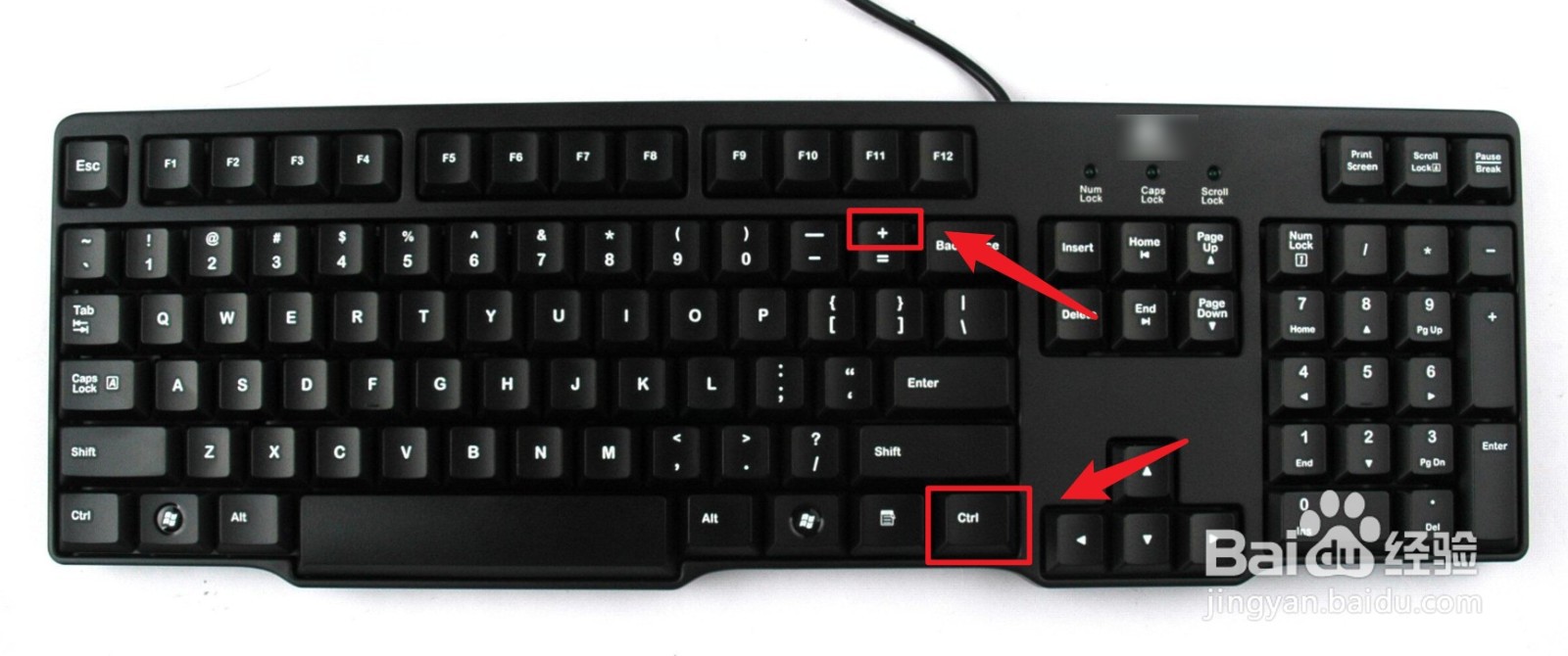 ps缩放大小怎么自由缩放