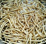 凉拌鱼腥草根的做法