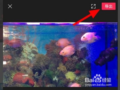 剪映怎么制作模板并分享给好友