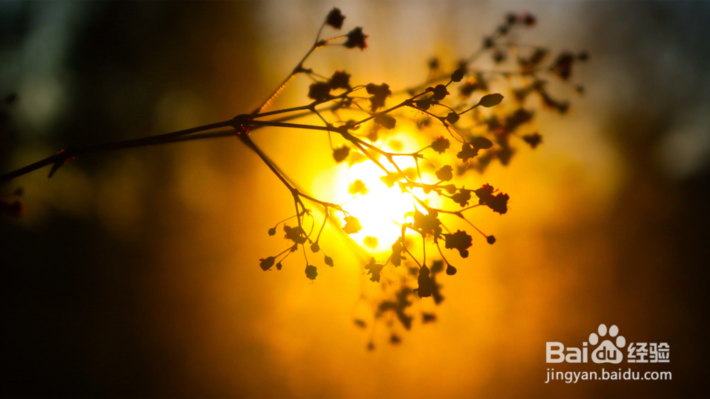 微商城后台有哪些营销核心