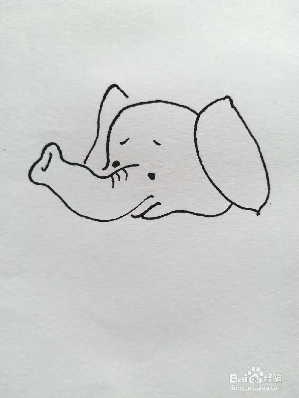 象的简笔画法《一》