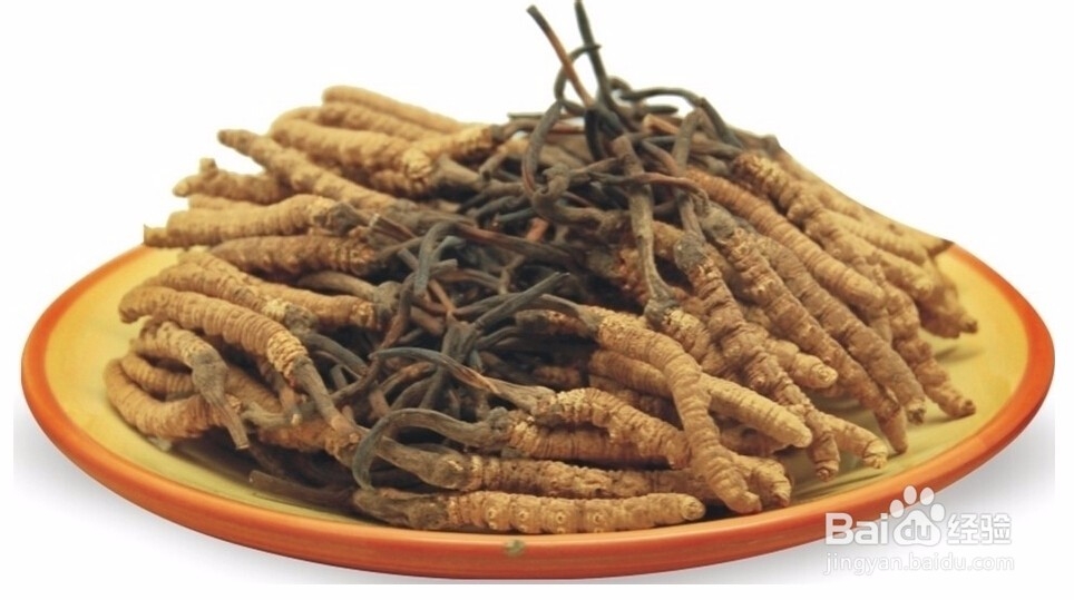 西藏旅游怎么购物?