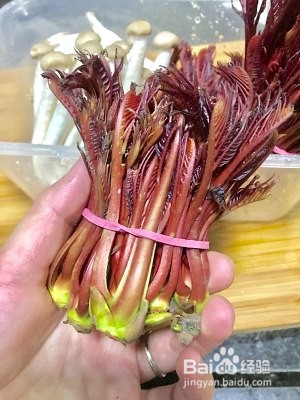 教你怎么做香椿蚝油拼蟹味菇
