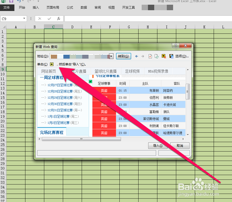 怎样在excel中插入web数据