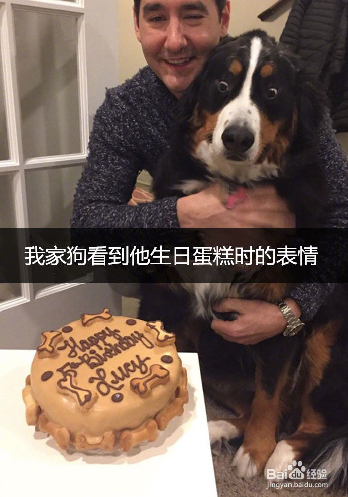 网友拍下的自家蠢汪的搞笑瞬间，这是要成精啊