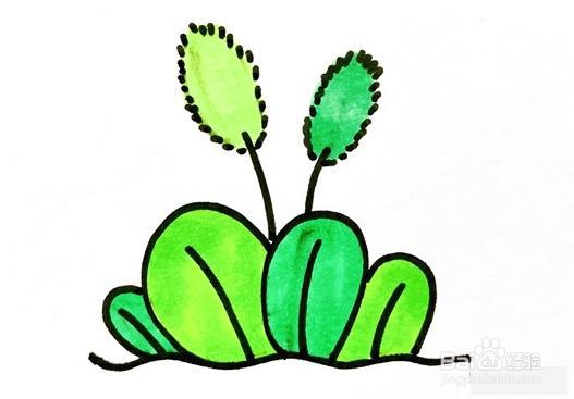 狗尾巴草简笔画怎么画