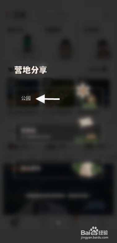觅野camp如何分享公园营地信息