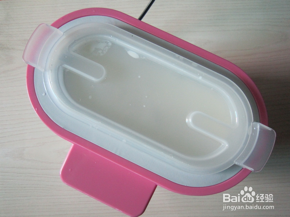 自制无添加----酸奶