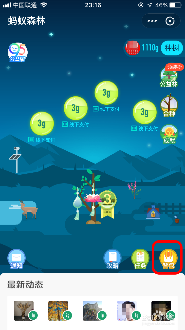 蚂蚁森林怎样防止别人偷自己的能量