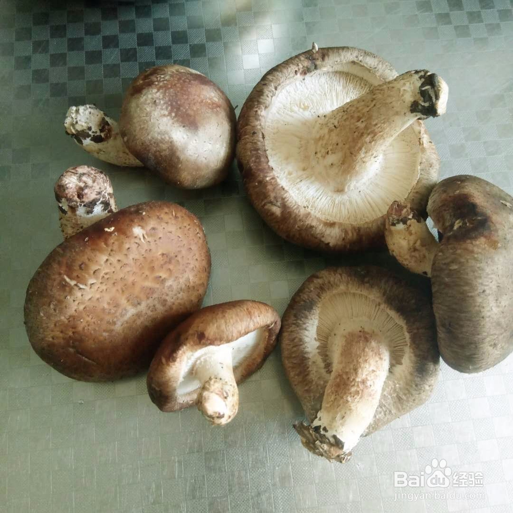 油菜炒鲜菇家庭做法