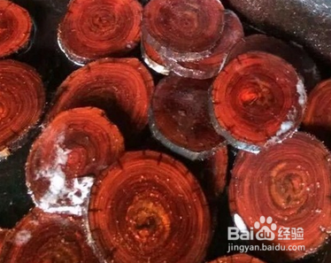 小叶紫檀葫芦手把件