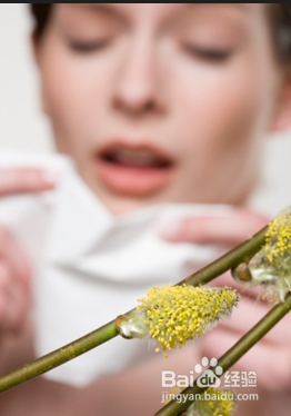 谷雨养生注意什么