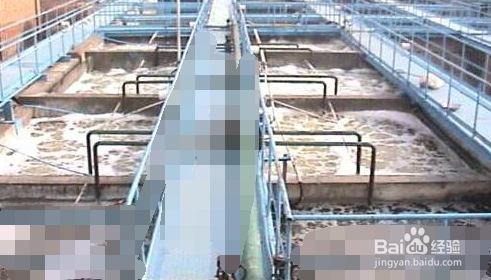 如何利用天利固液分离机TL-800处理猪粪？