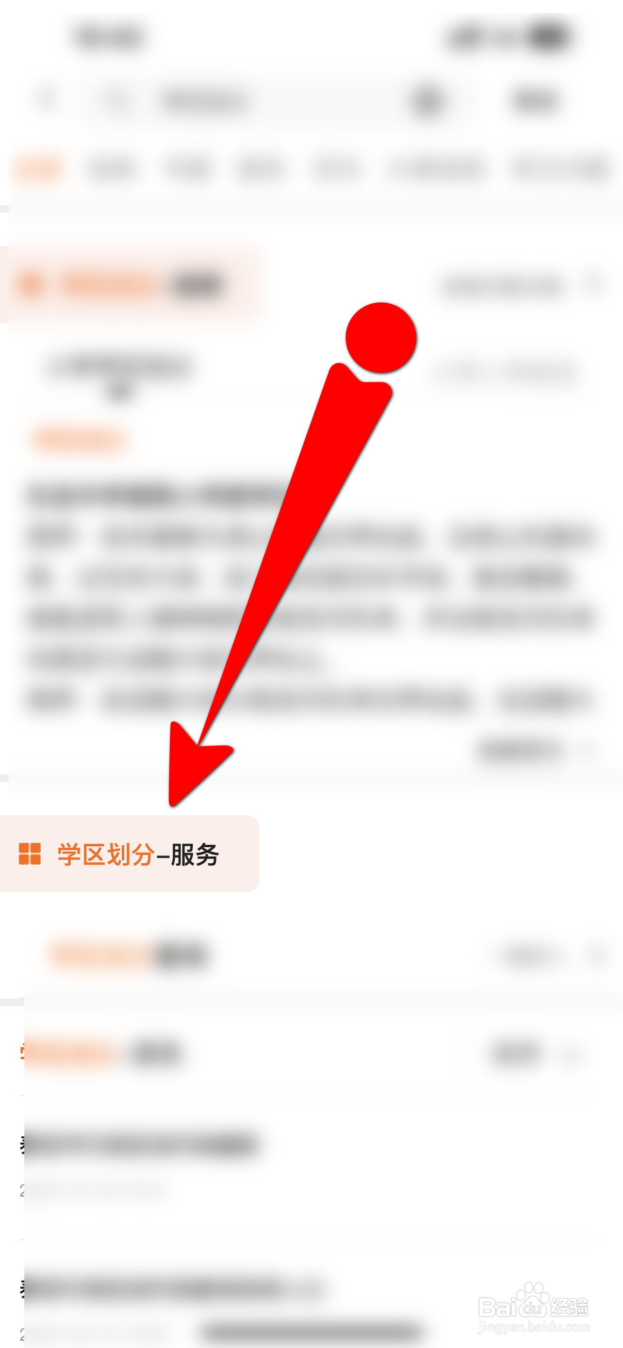 2022年泰山区学区划分图解