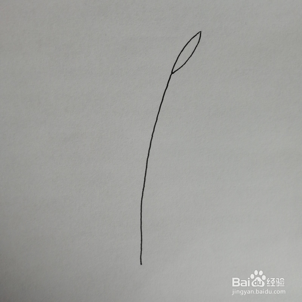 绿色盆栽简笔画怎么画
