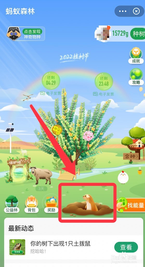 蚂蚁森林互联网植树节参与方法