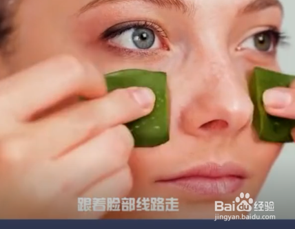 芦荟有什么妙用呢