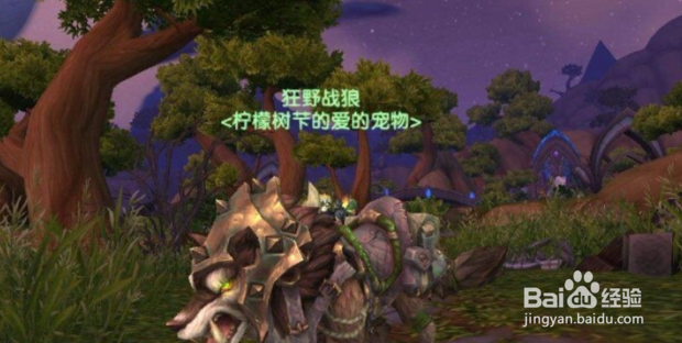 7.2猎人专属坐骑怎么获得