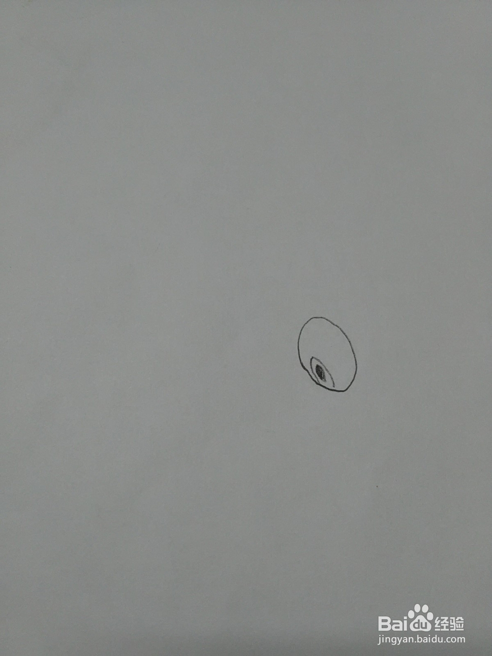 猪猪侠火焰鹤怎么画