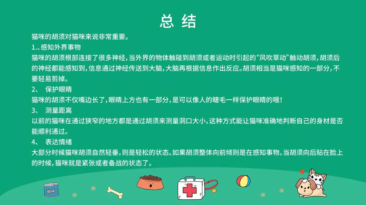 猫咪胡须有什么作用