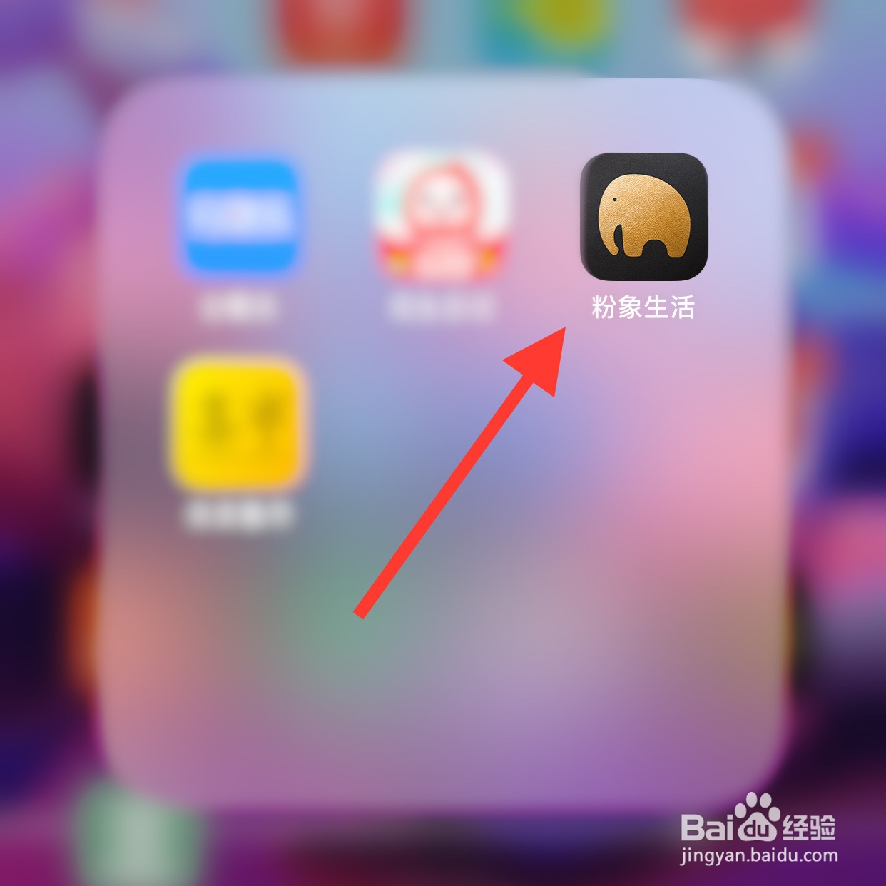 粉象生活app怎么退出登录