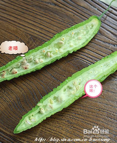 如何挑苦瓜&苦瓜肉片
