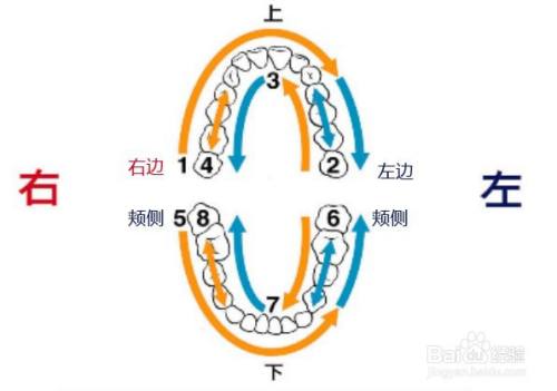 如何做到正确的刷牙技巧
