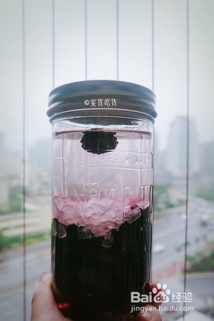 桑葚酒的做法