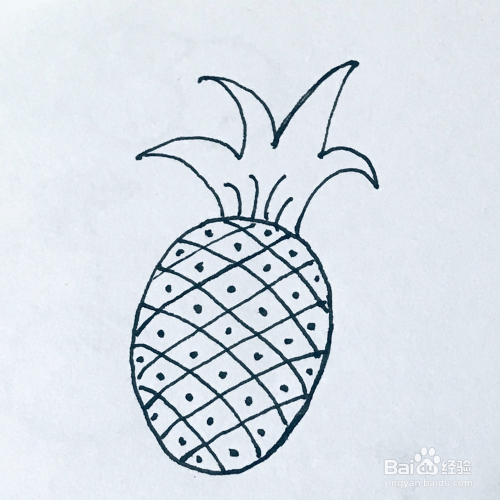 菠萝的简笔画