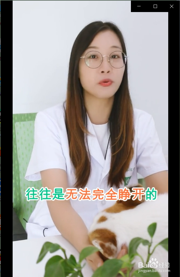 猫咪眼睛红肿流眼泪是怎么回事