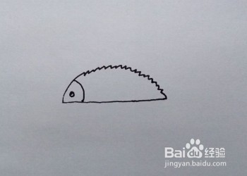 简笔画:刺猬