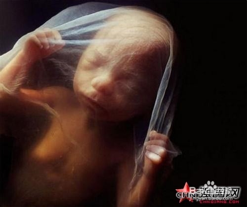 母亲怀孕时婴儿长什么样