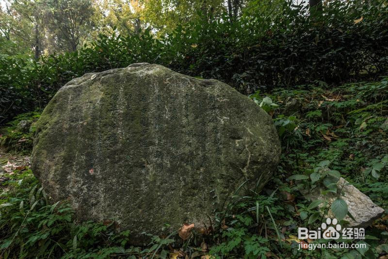 诗画浙江畅游杭州攻略7