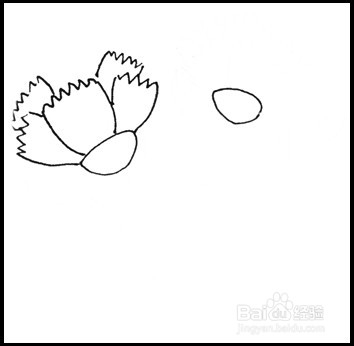怎样画简笔画（花卉）：[10]康乃馨