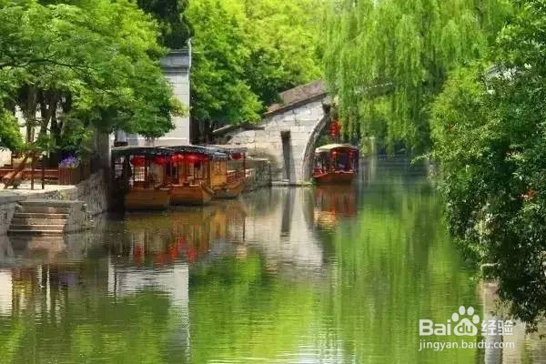 春天到了,你想好去哪儿旅游了吗
