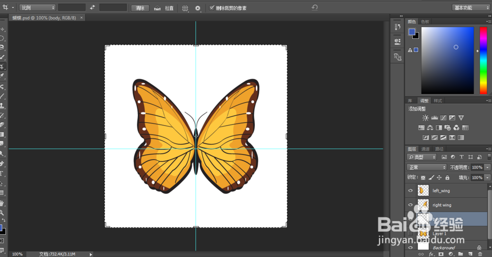 蝴蝶飞舞动画制作