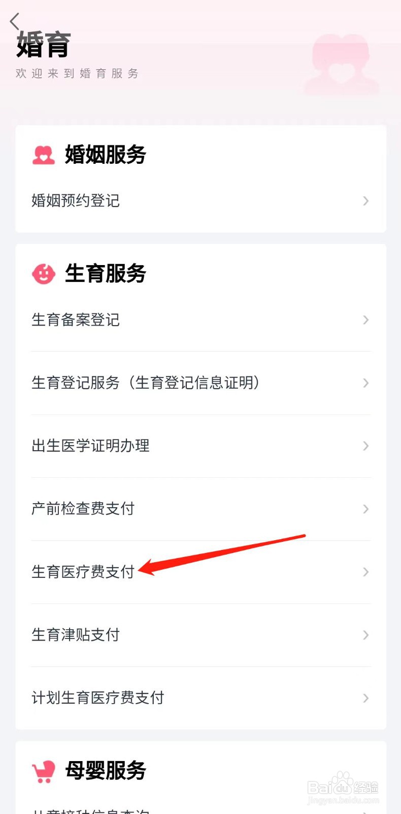 怎样办理生育医疗费支付